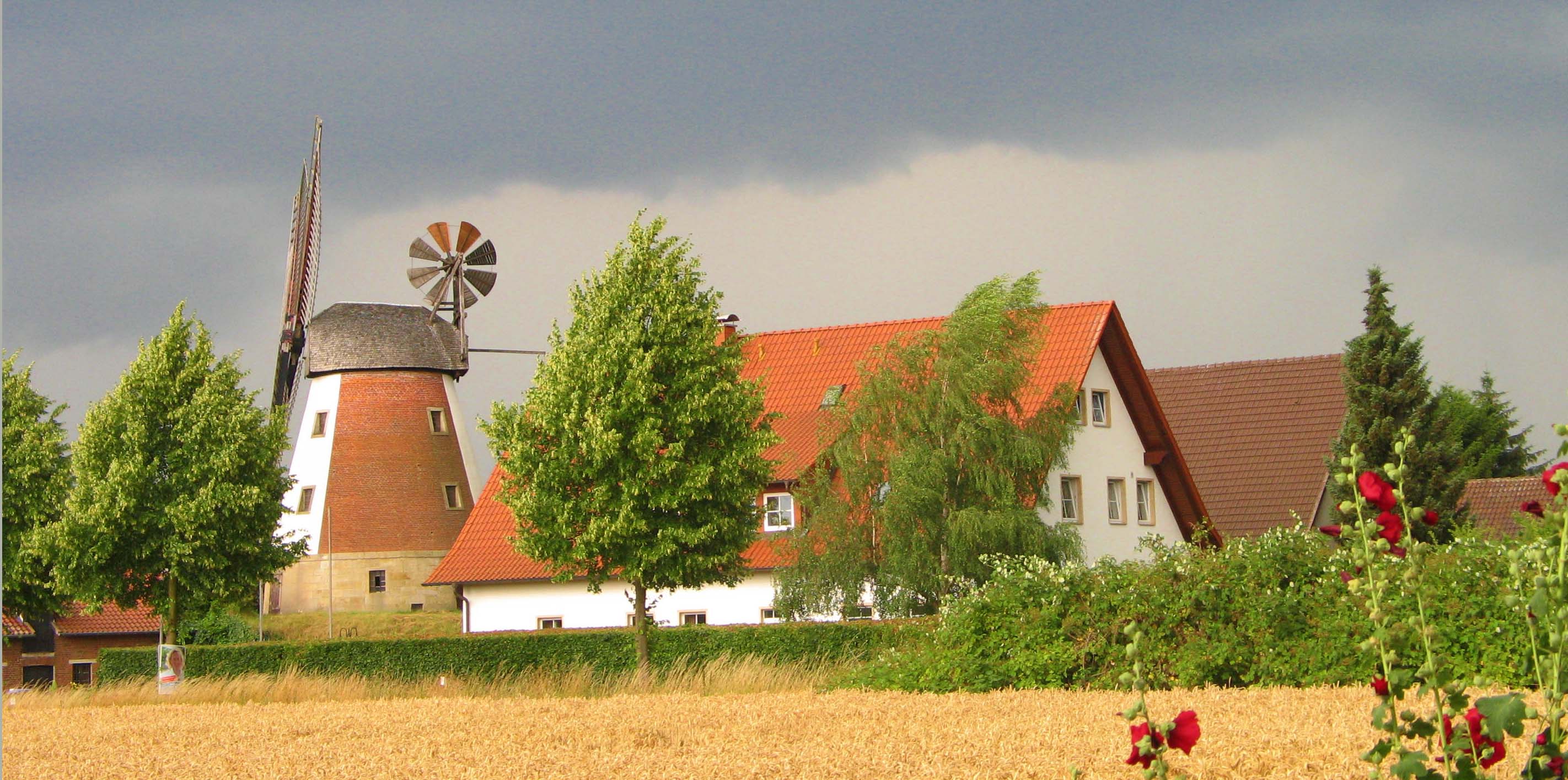 Windmühle Meissen; Foto: Günter Bohnenkamp